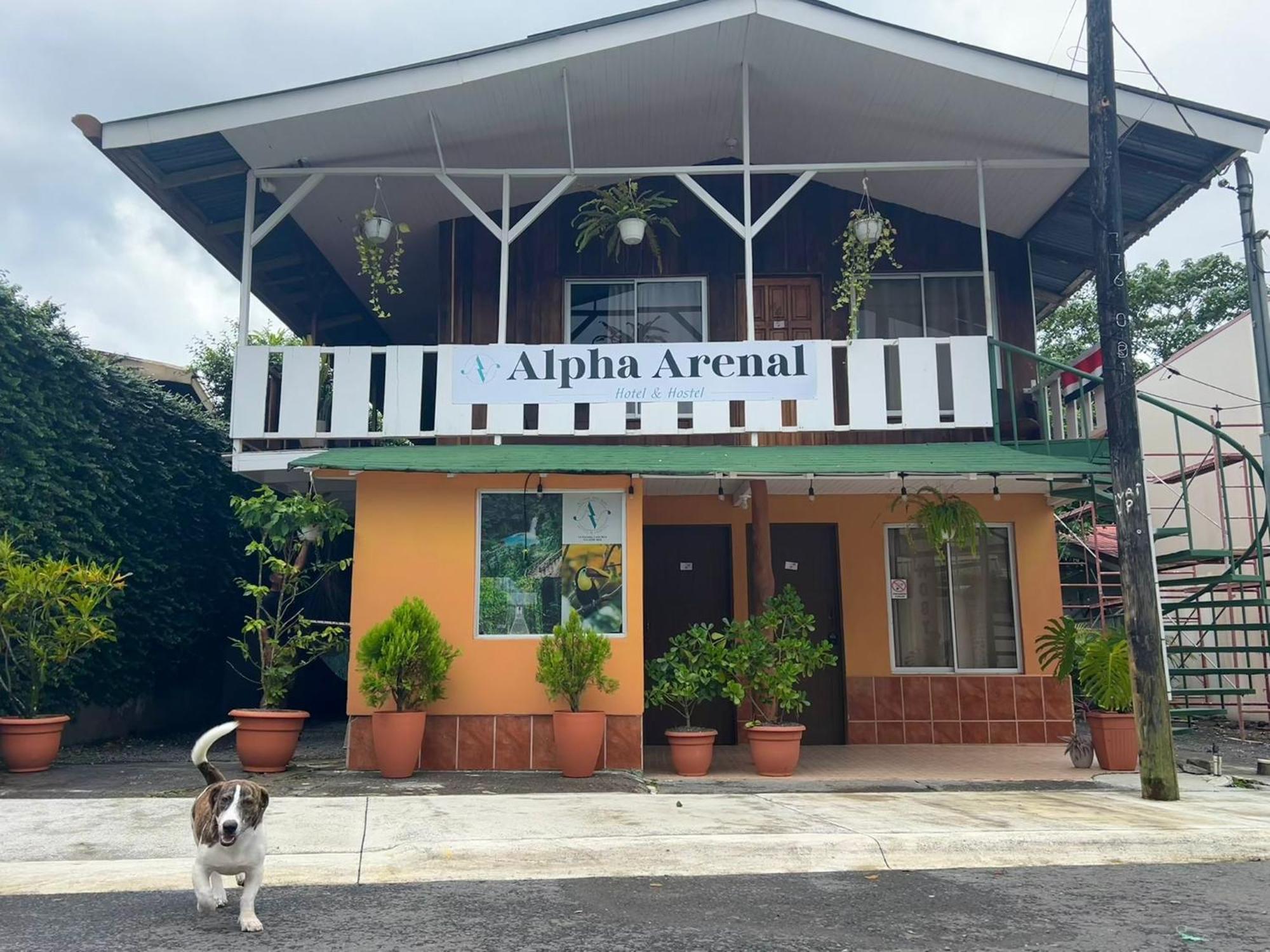 Alpha Arenal Hostel Ла Фортуна Экстерьер фото